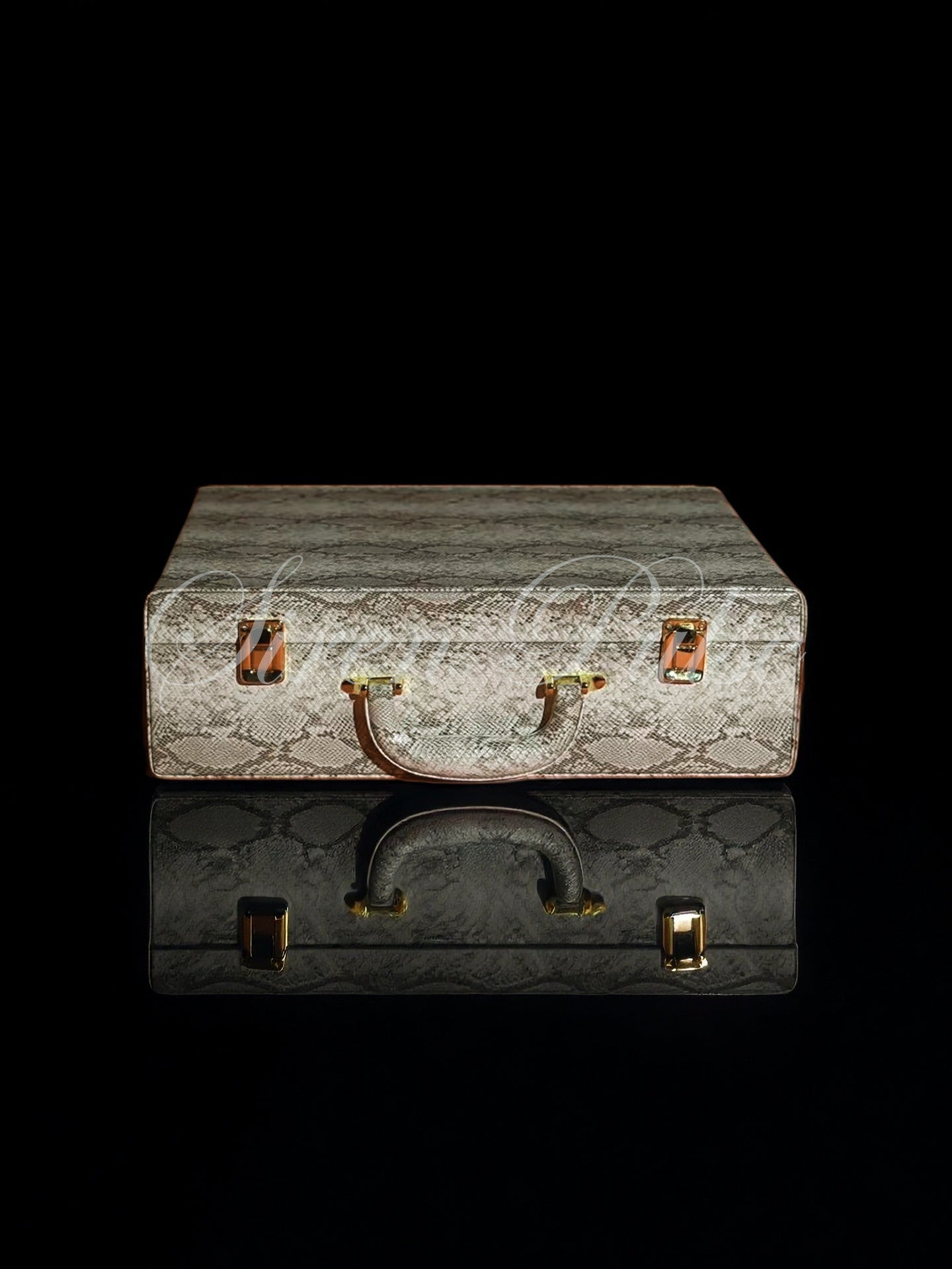 SERPENT VAULT™ BDSM GEAR CASE (BOX ONLY)